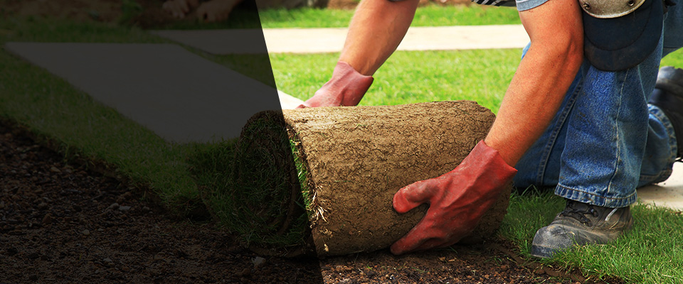 Annandale On Hudson Landscapers